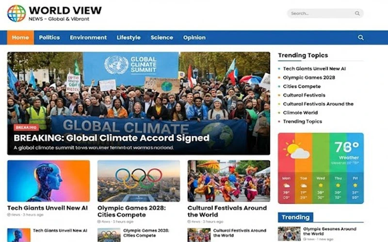 Professional News Portal Website Design Preview